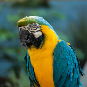 Zoo Day Fun in Sacramento!