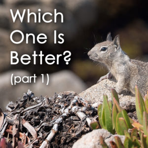 Squirrel! WOIB-001 (which one is better?)