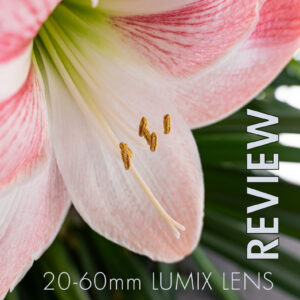 Wow Images from the 20-60mm For the LUMIX S1