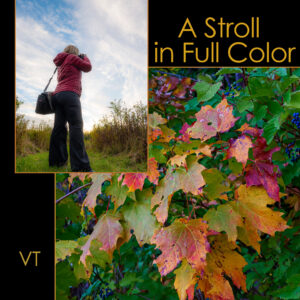 A Stroll in Full Color