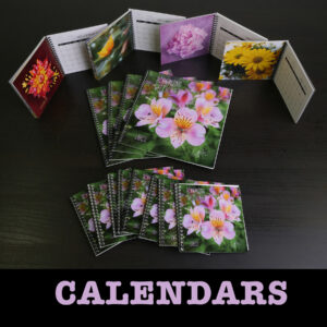 CALENDARS–It’s Time!