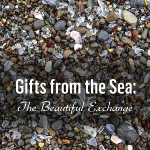 Gifts from the Sea: the beautiful exchange.