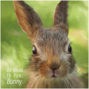 Just a little Bunny…