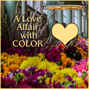 Love Affair with Color