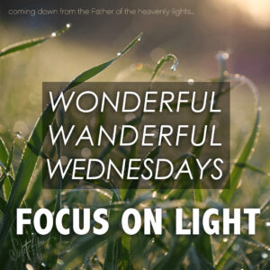 WONDERFUL WANDERFUL WEDNESDAYS