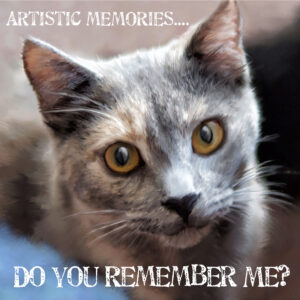 Paint your Memories into Art.