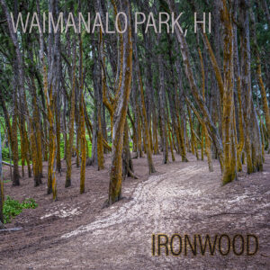 Ironwood Forest in Waimanalo, HI