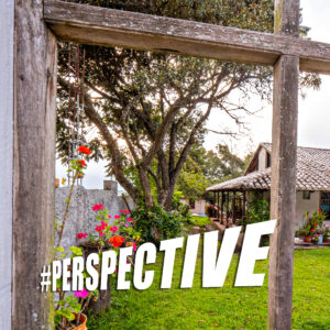#PERSPECTIVE