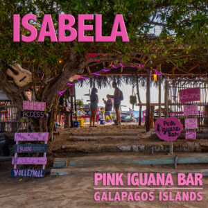 Isabela Pink Iguana