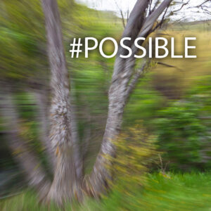 #POSSIBLE