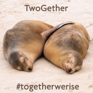 #TogetherWeRise